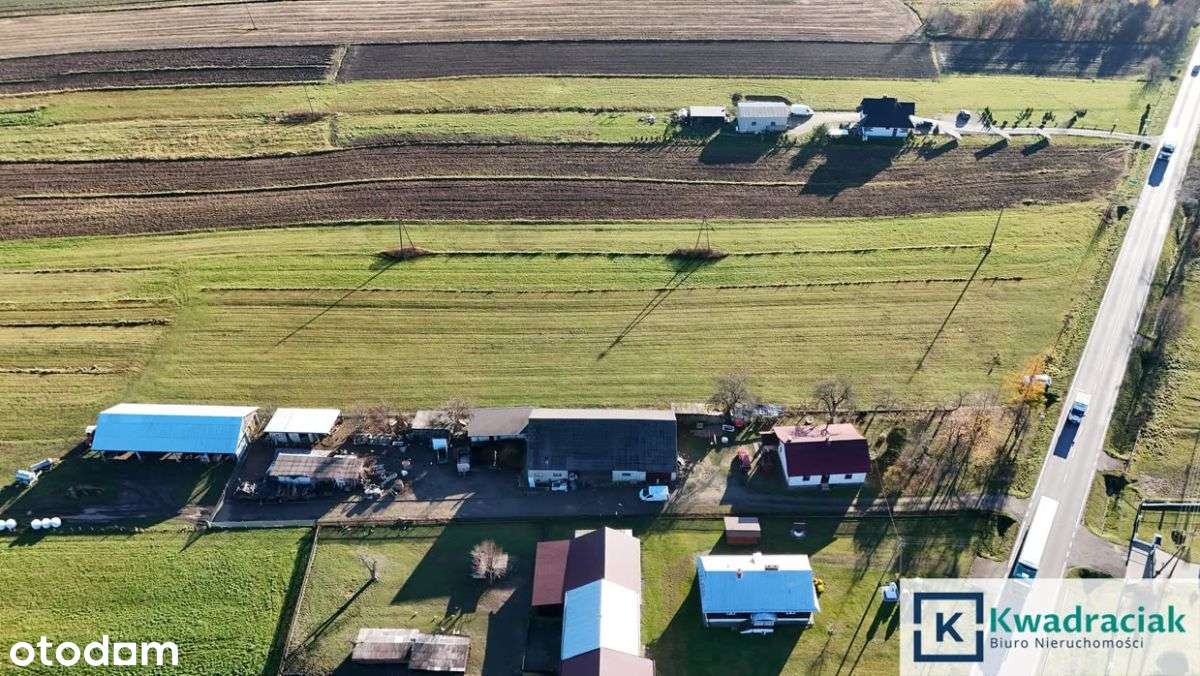 Dużą działka 0,93 ha z mediami - Nowy Żmigrodzie-11