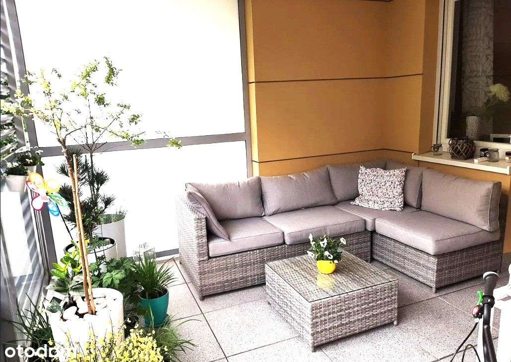 3 pokojowe z tarasem na Grunwaldzie