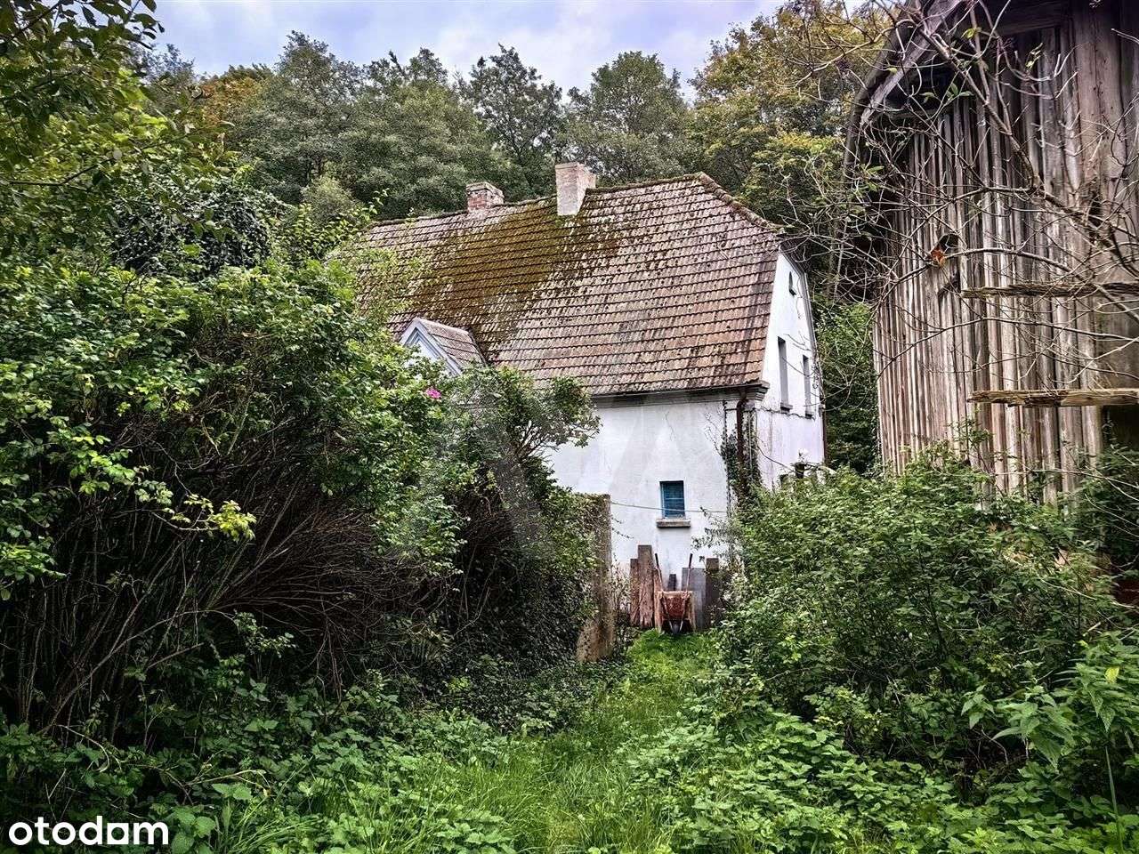 Ukryta Dolina, Elitarna Enklawa 12 Ha Blisko Morza-2