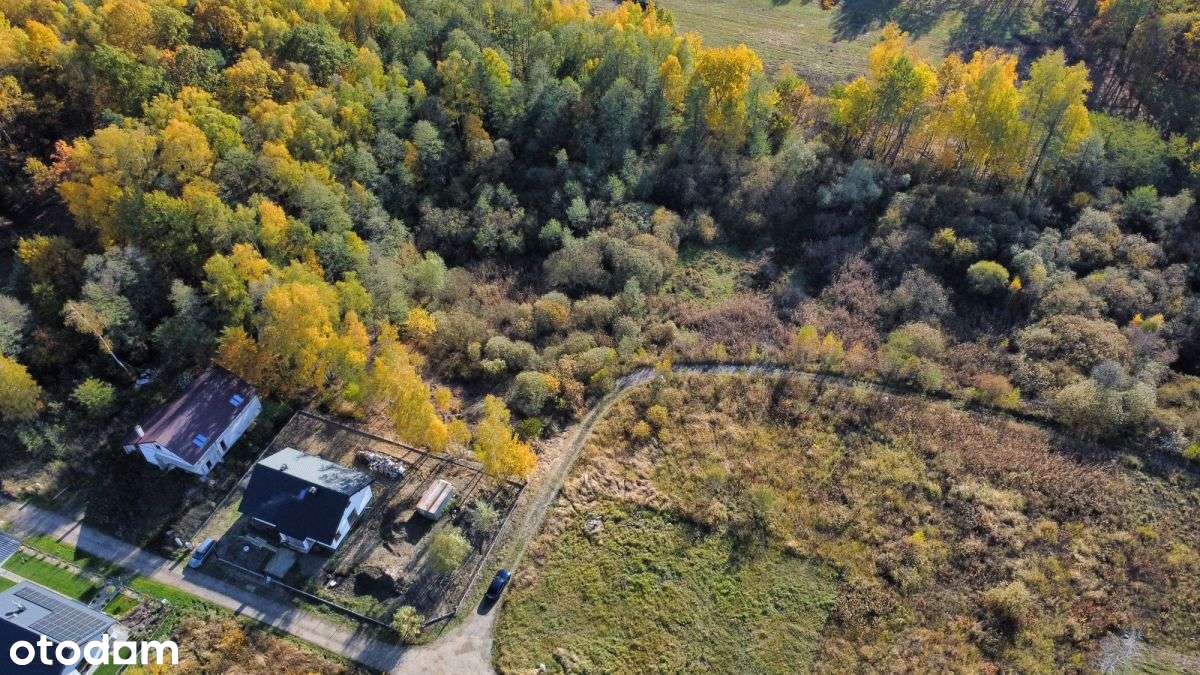 Żabia Wola | Mpzp | 2024 m2 | S8 - Pełny obrazek: 4/14