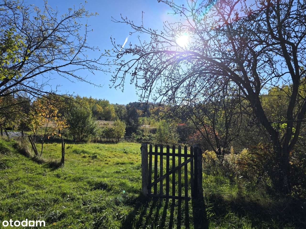 Drewniany dom na wzgórzu – wśród lasów i ciszy, 4,04 ha - Pełny obrazek: 4/20