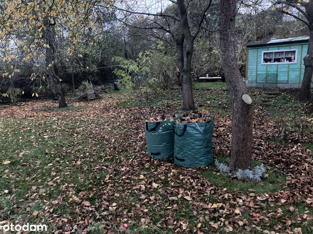 Działka ROD, Dmowskiego, przy pętli Górczyn-8