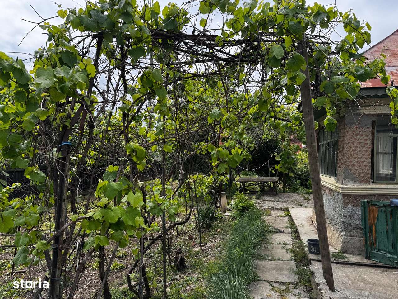 Teren de vânzare în Balotești - Imagine principală: 4/16