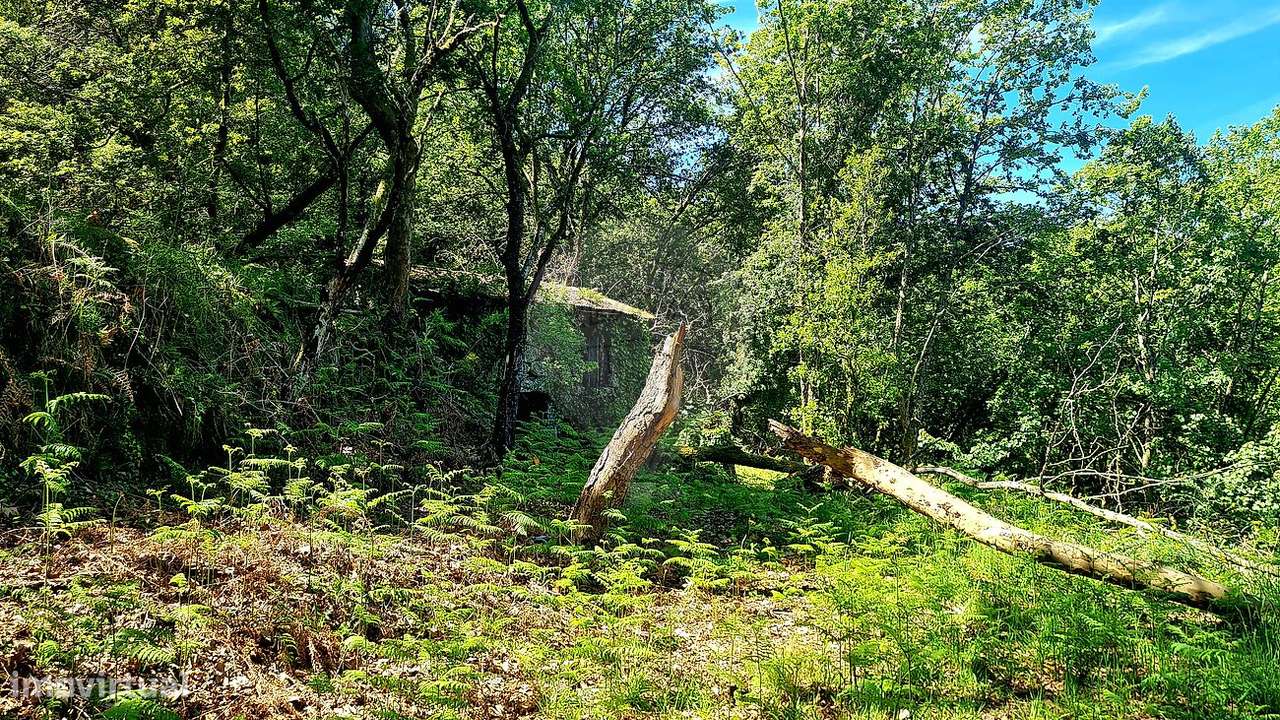 Terreno  para venda - Grande imagem: 2/23