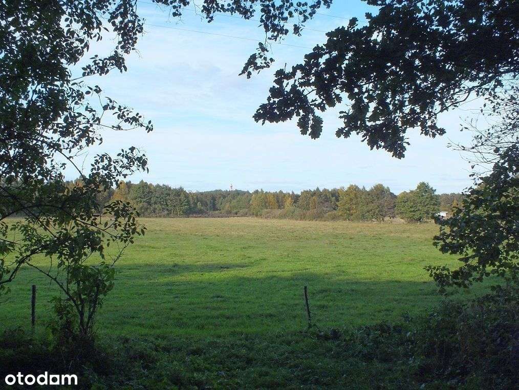 Magiczne Sasino Zielonka - Pełny obrazek: 5/10