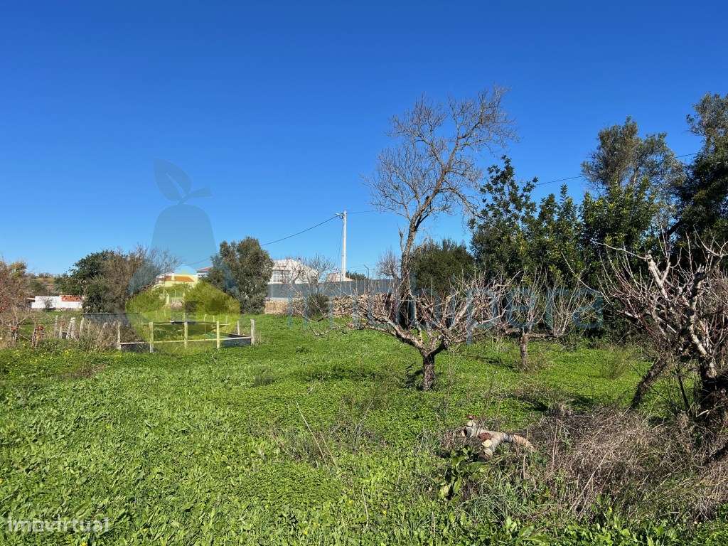 TERRENO EM CERRO DO OURO COM UMA PARCELA URBANA-10