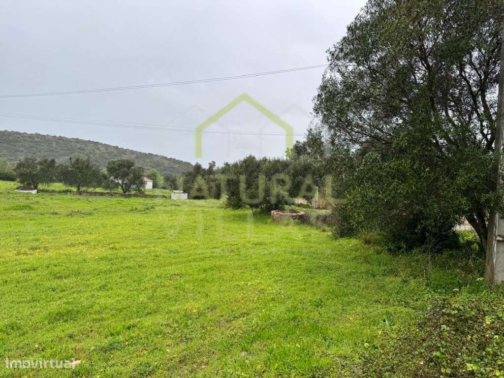 Terreno Rústico junto à Estrada, Santa Bárbara de Nexe - Grande imagem: 4/4