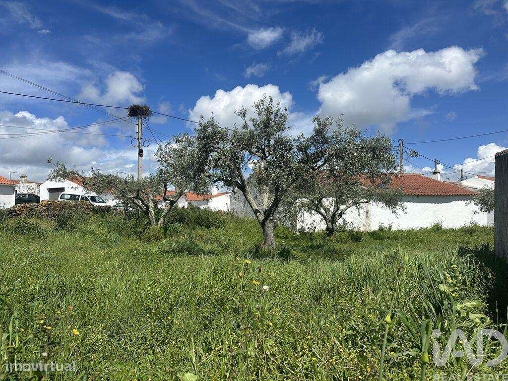Terreno em Santa Cruz de 645,00 m2 - Grande imagem: 3/8