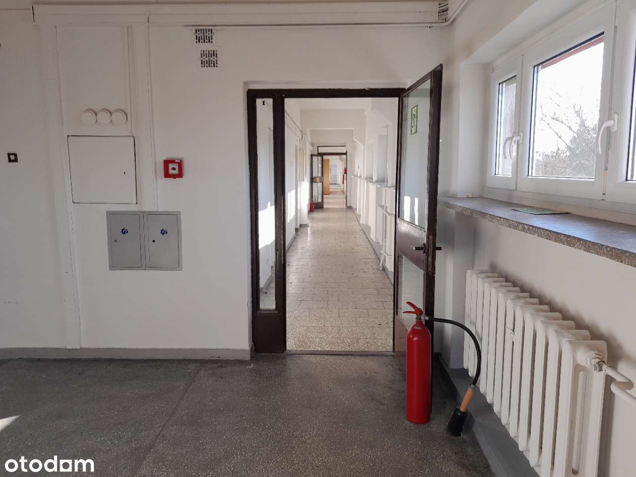 BUDYNEK: Biuro+magazyn+ parking! na siedzibę firmy! - Pełny obrazek: 4/16