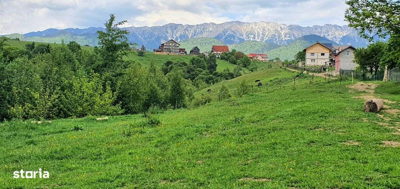 Teren casa de vacanta , Pestera , Brasov-1