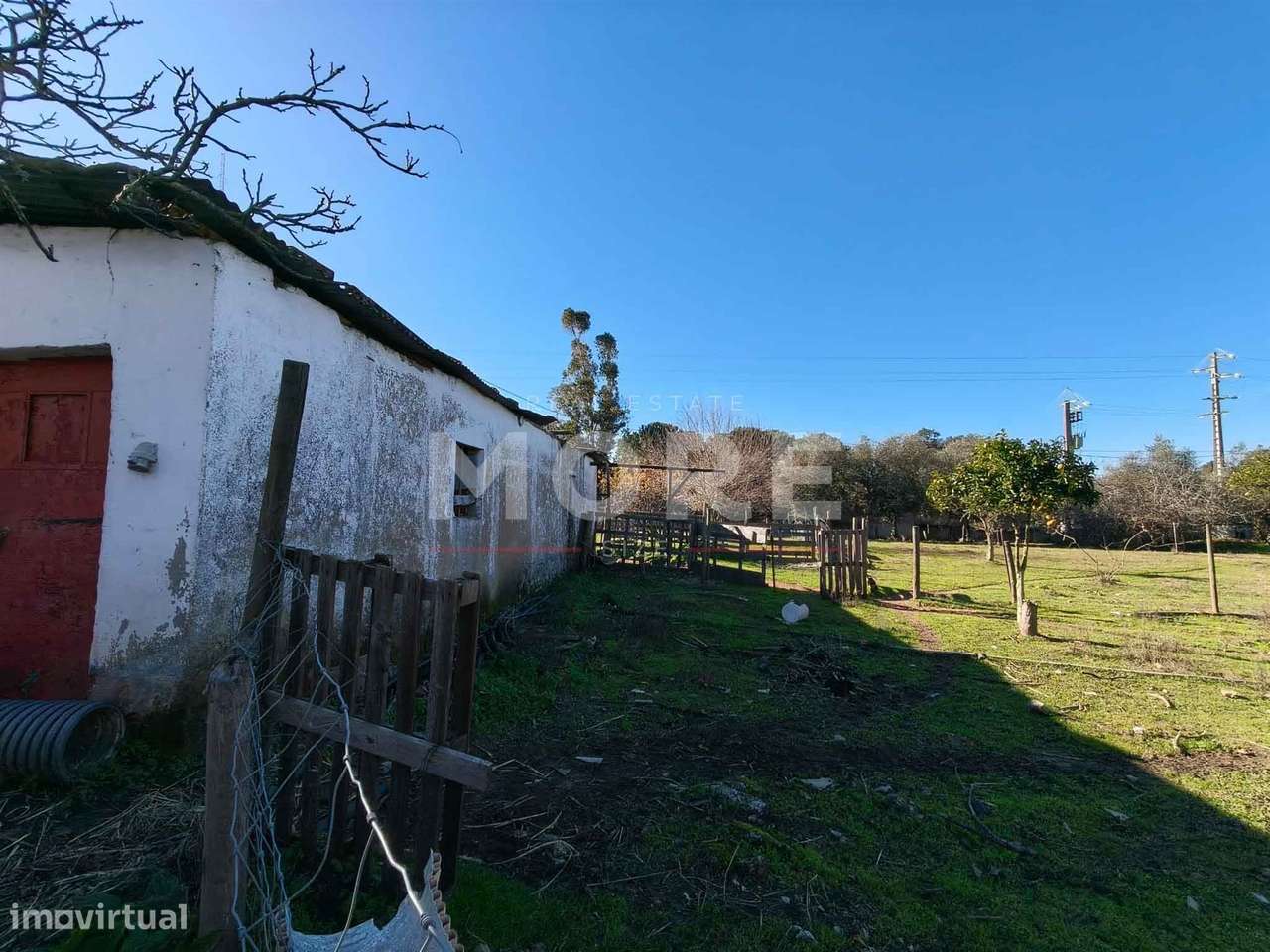 Terreno com 9500 m² – Évora-11