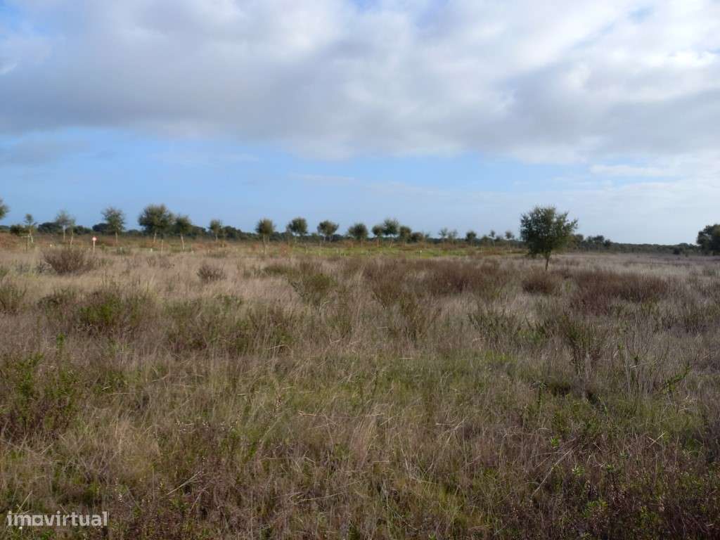 Terreno rústico em Grândola-0