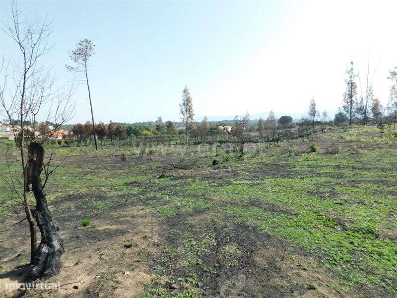 Quinta / Seia, Travancinha - Grande imagem: 5/15