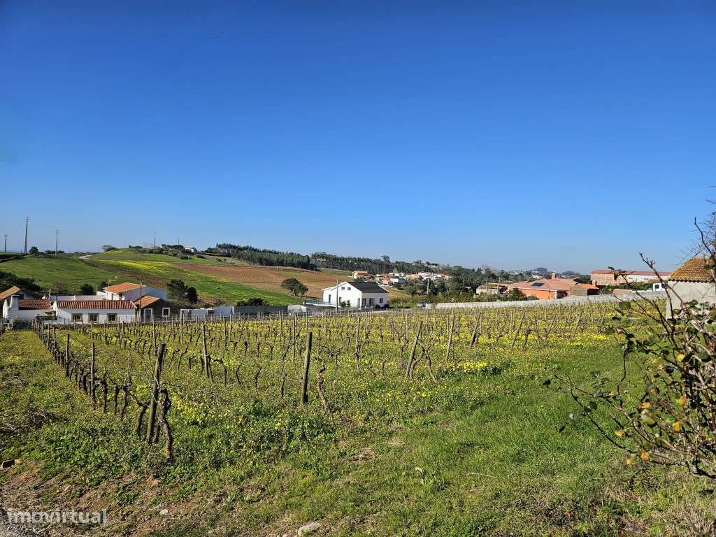 Terreno para construção de 7 moradias com belas vistas! - Grande imagem: 2/6