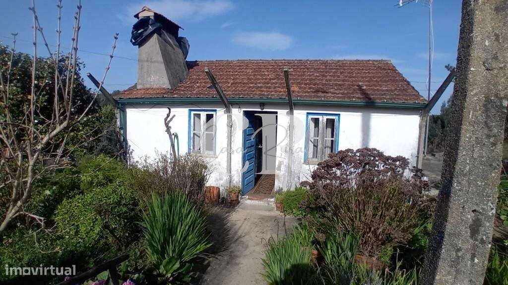 Moradia em pedra em Figueiró dos Vinhos com terreno e poço de água-39
