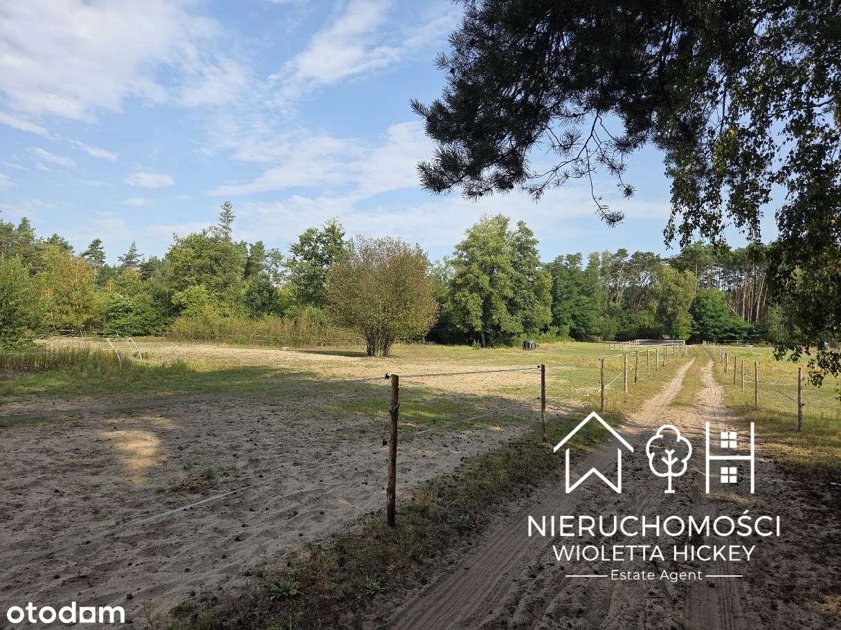 Teren inwestycyjny 5,76 ha – pod zabudowę mieszkaniową 1 ha 2365 m²-5