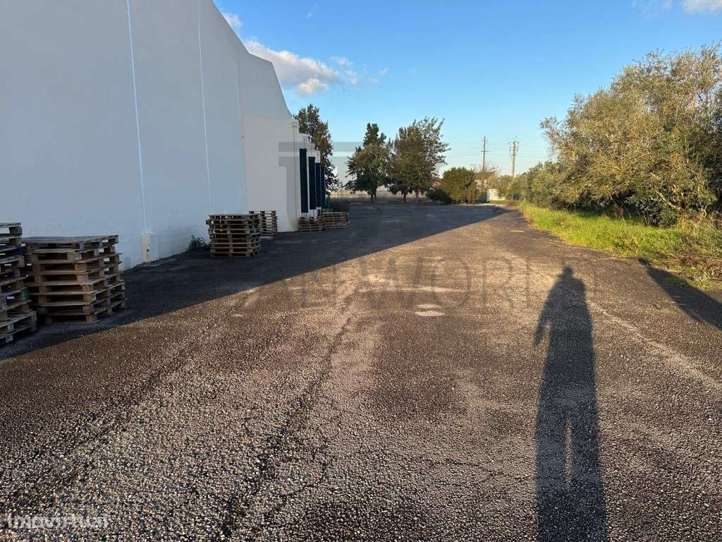 Armazém Industrial, Santarém, 4.000m2-38