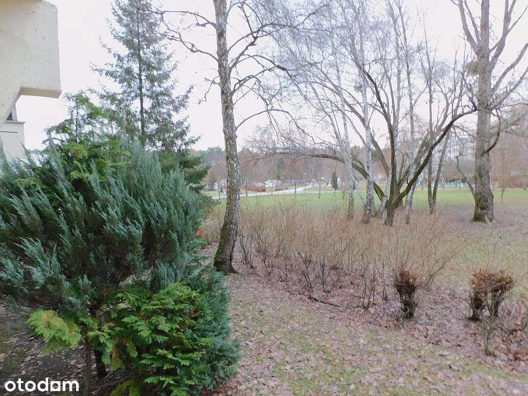 os. Tysiąclecia, 3 pokoje, niski blok!