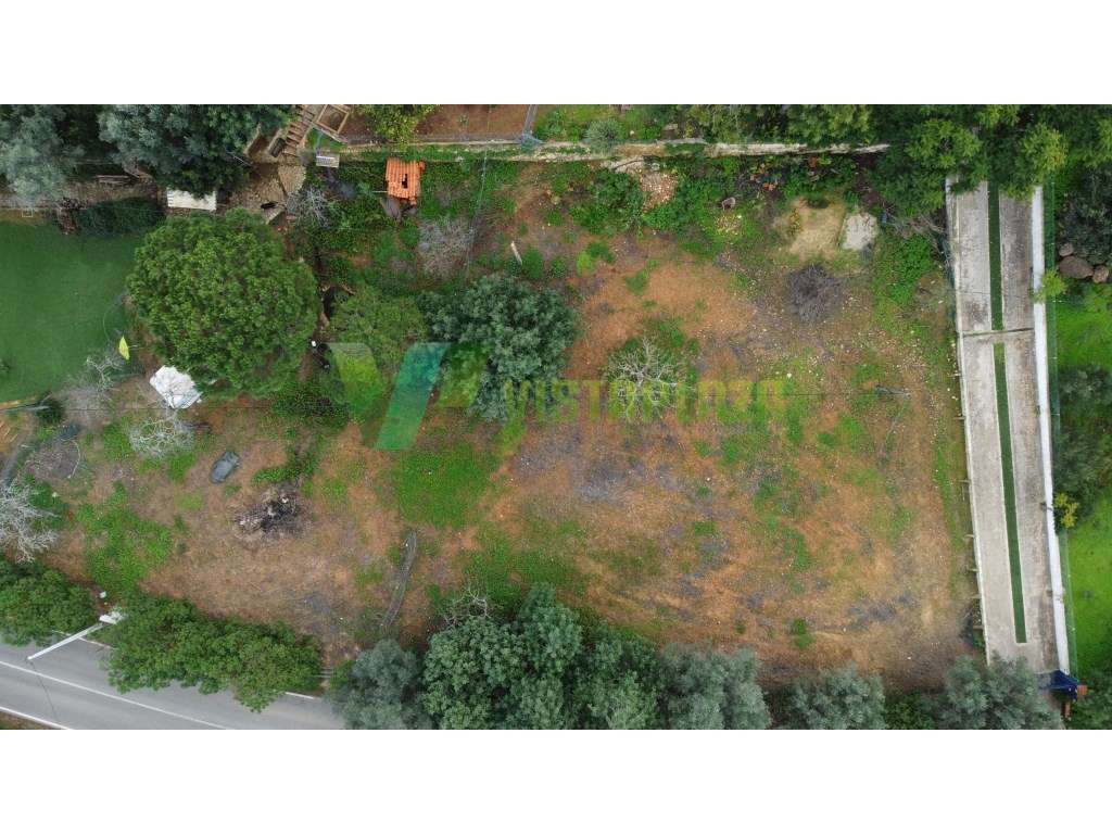 Excelente Lote de Terreno para Construção de Prédio com Licença de ... - Grande imagem: 4/13