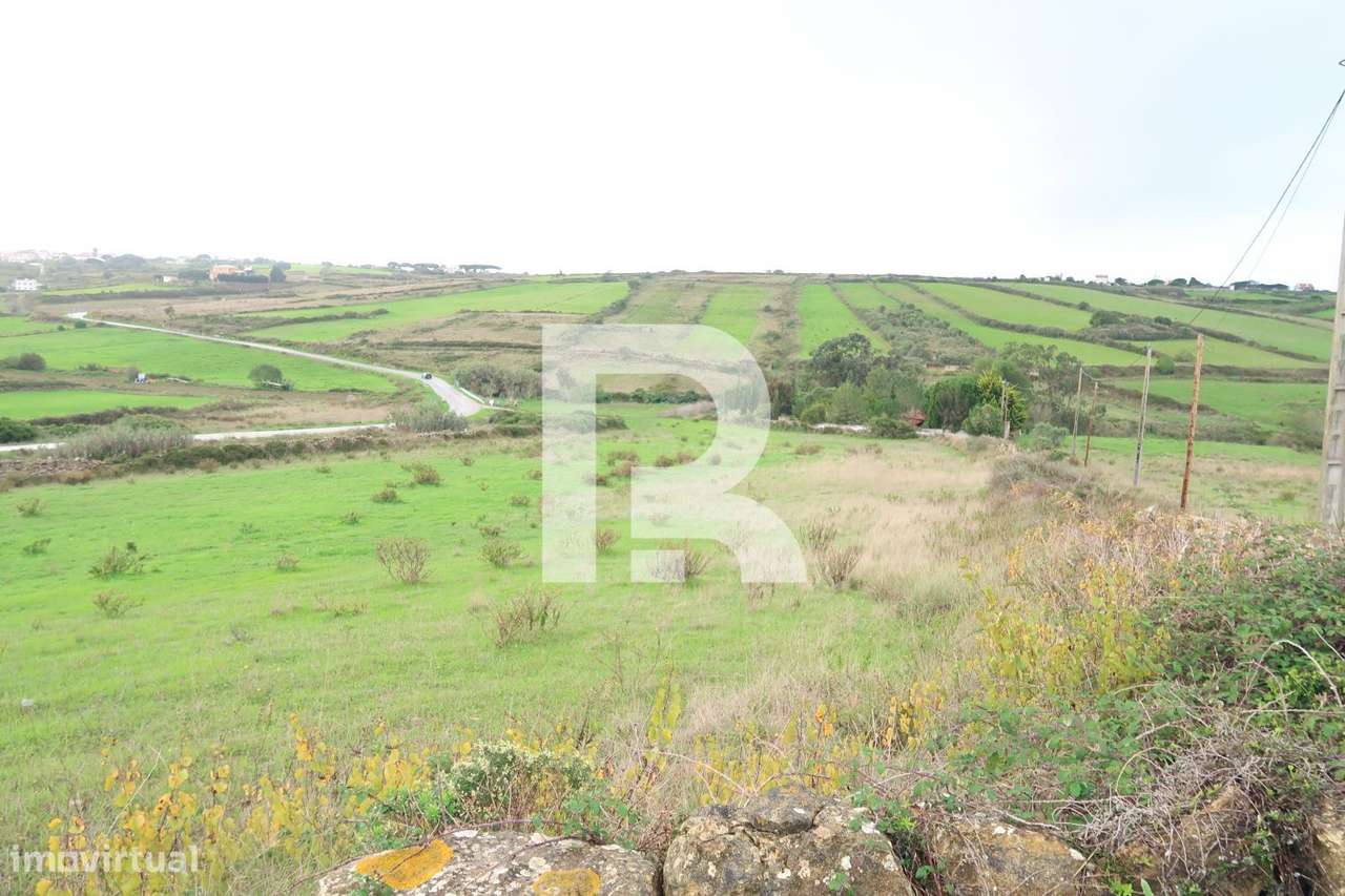 Terreno Rústico em Areias, S. João das lampas - Grande imagem: 2/11