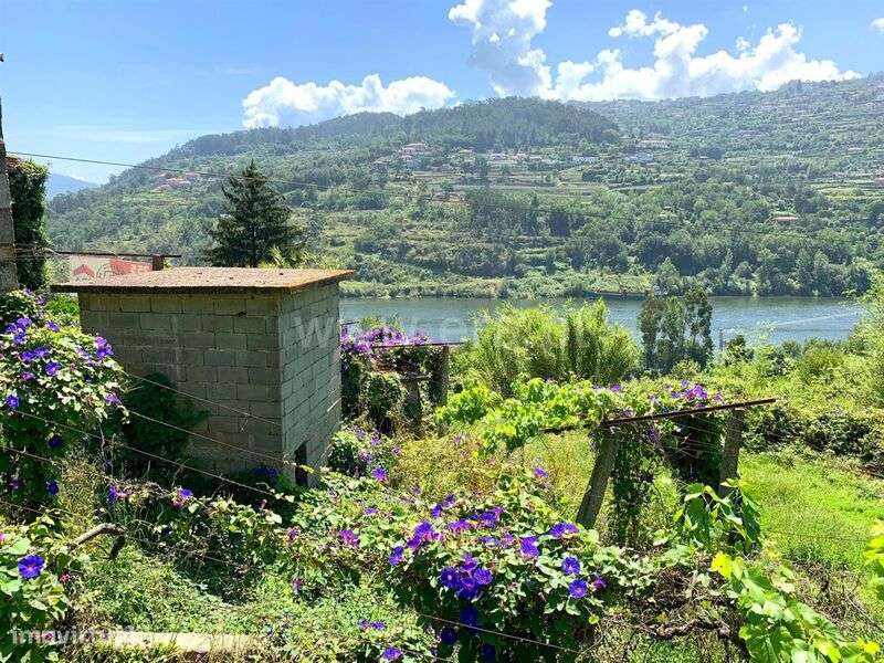 Quinta / Marco de Canaveses, Bem Viver - Grande imagem: 4/20