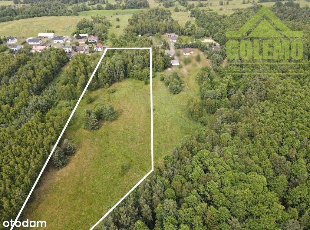 Działka o pow. 18375m², Garnek gm. Kłomnice - Pełny obrazek: 5/6