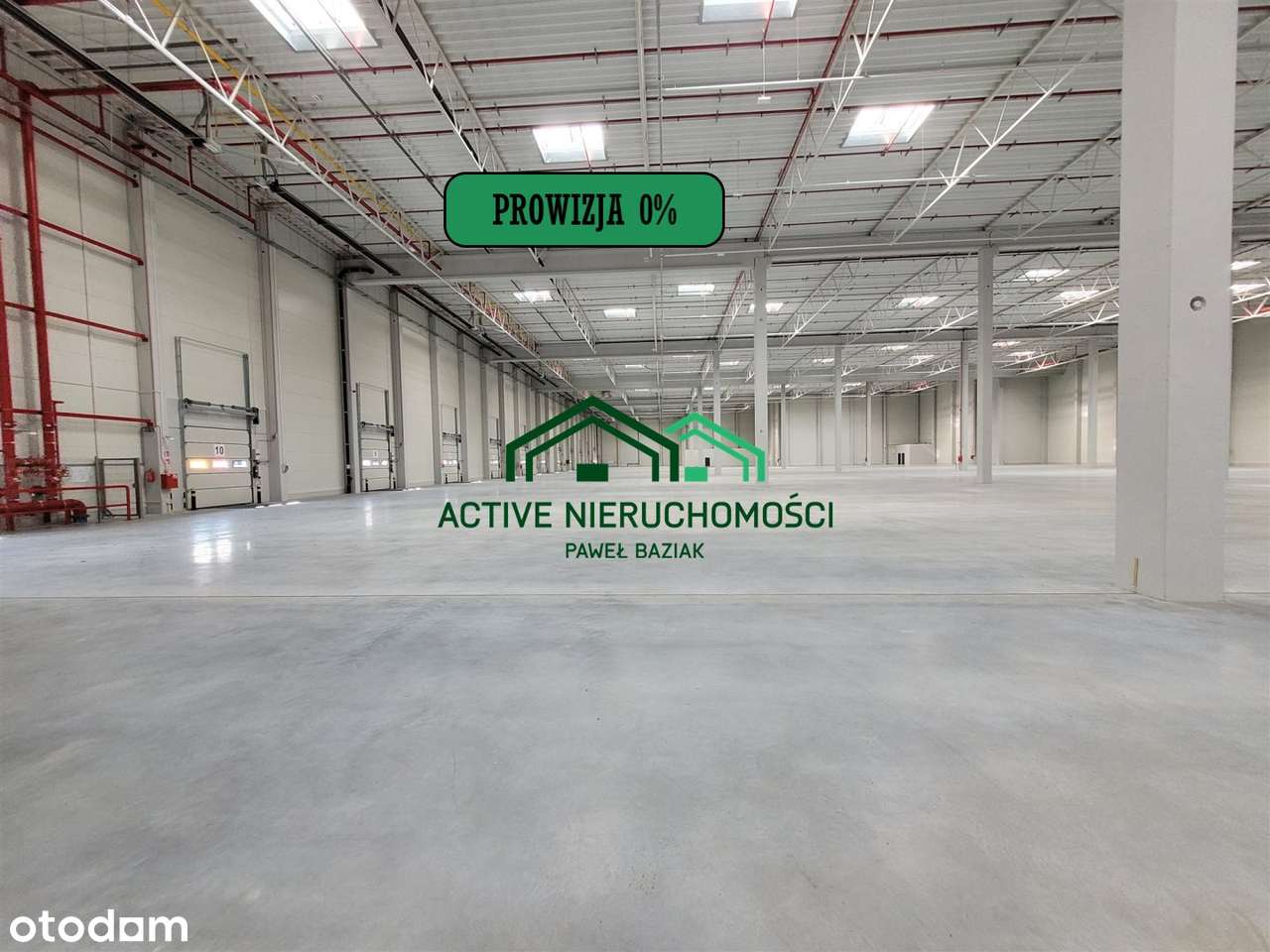 Powierzchnia magazynowa, hala, 2400m2, 0% Prowizj - Pełny obrazek: 5/5