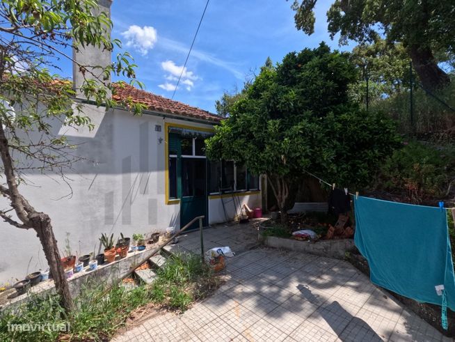 Village House For Sale - Castelo Branco-7