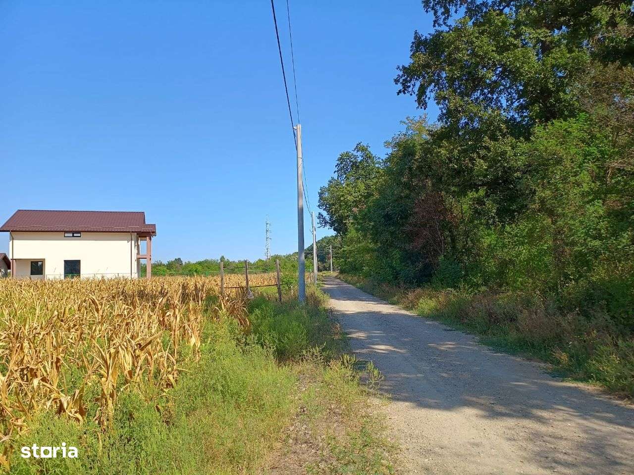 Teren de Vânzare 17.000 mp,Mihai Voda comuna Bolintin Deal-5