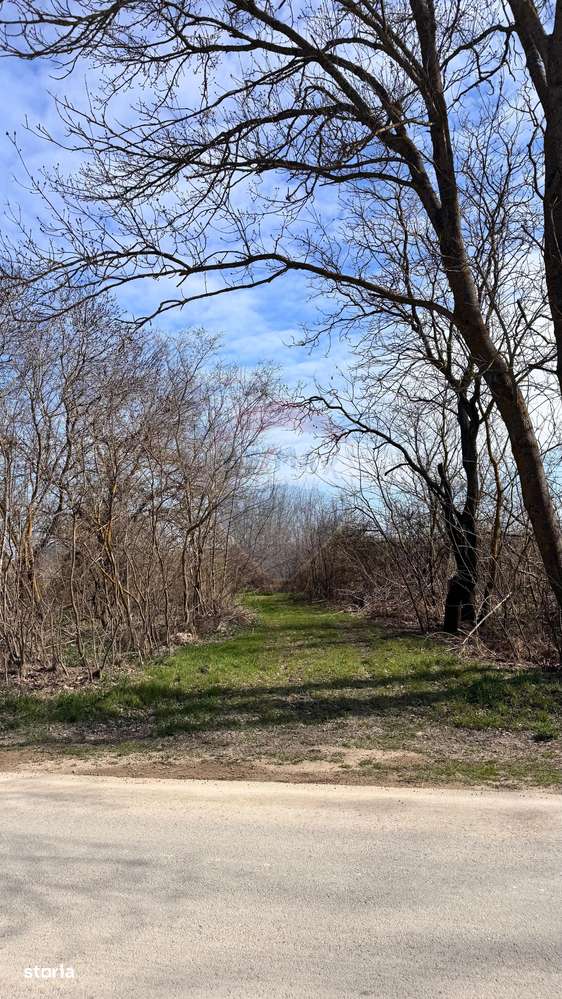 Teren intravilan, de vanzare, Olimp, Novum by the Sea - Imagine principală: 5/8