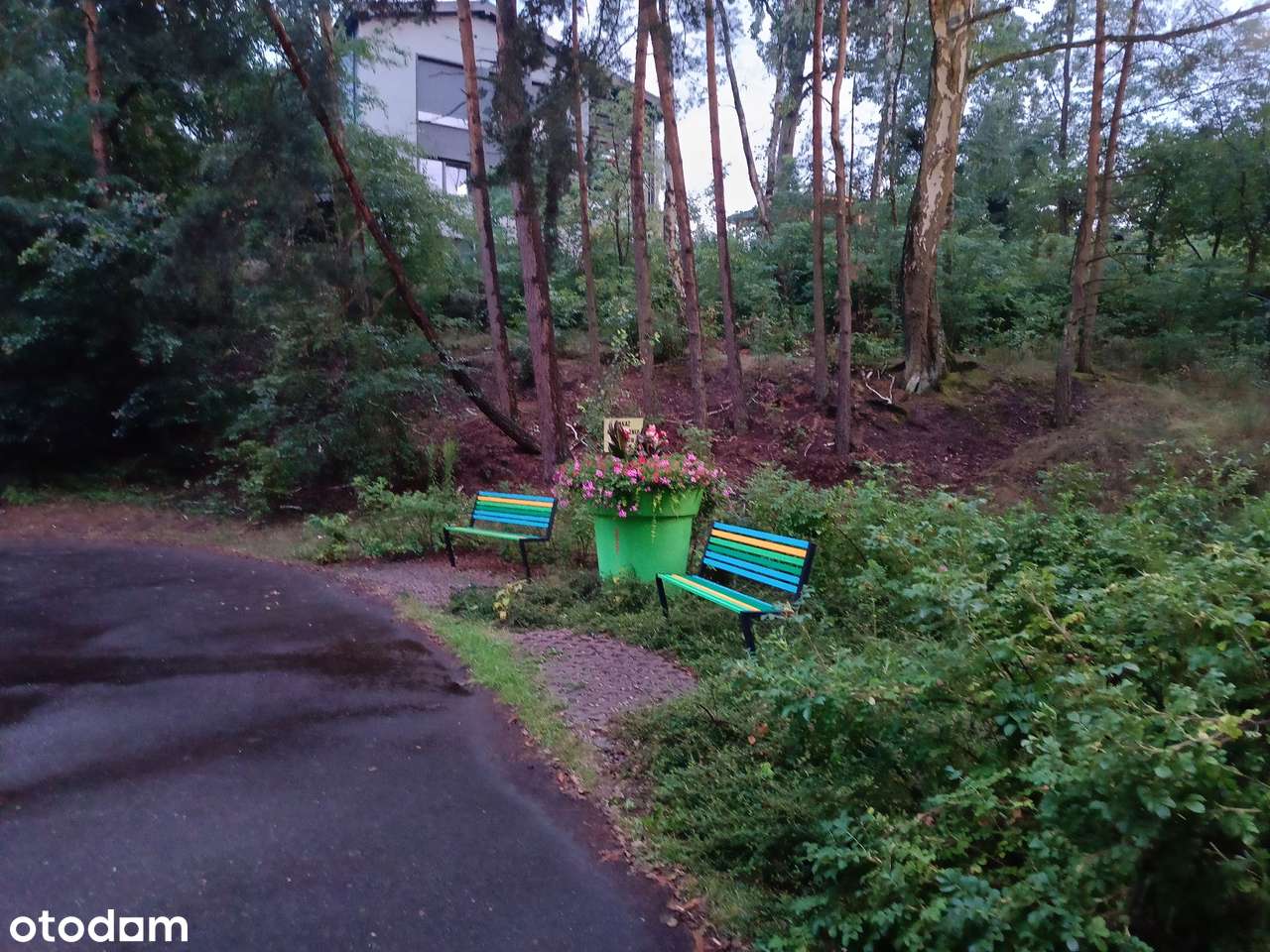 Działka w Chojnie z możliwością podziału-7