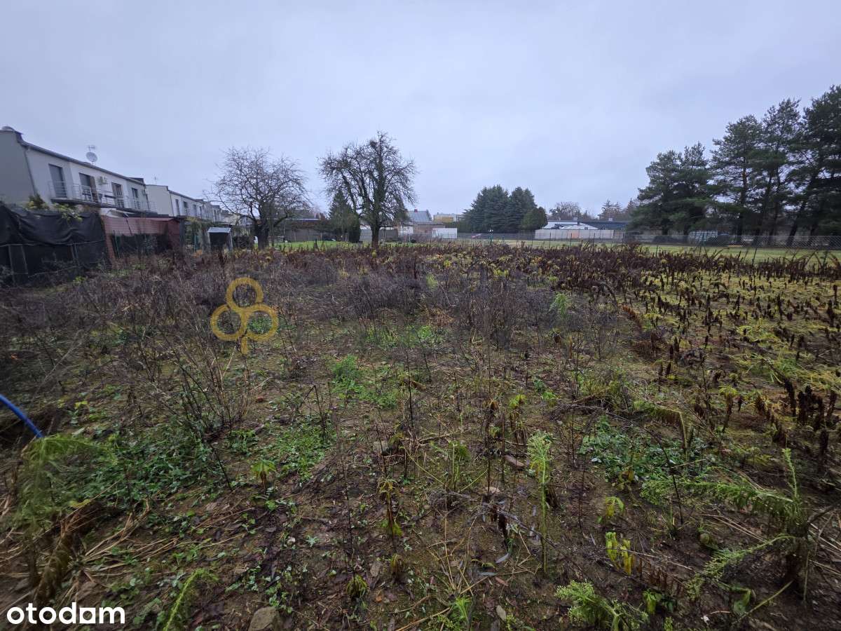 Poznań, Os. Kwiatowe | 1183 m² pod dom lub firmę - Pełny obrazek: 4/10