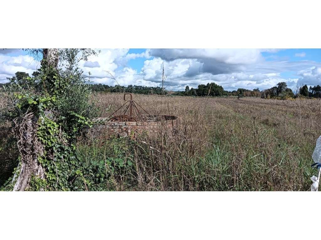 Terreno com 12 m de frente a poucos minutos do centro de Vagos - Grande imagem: 5/23