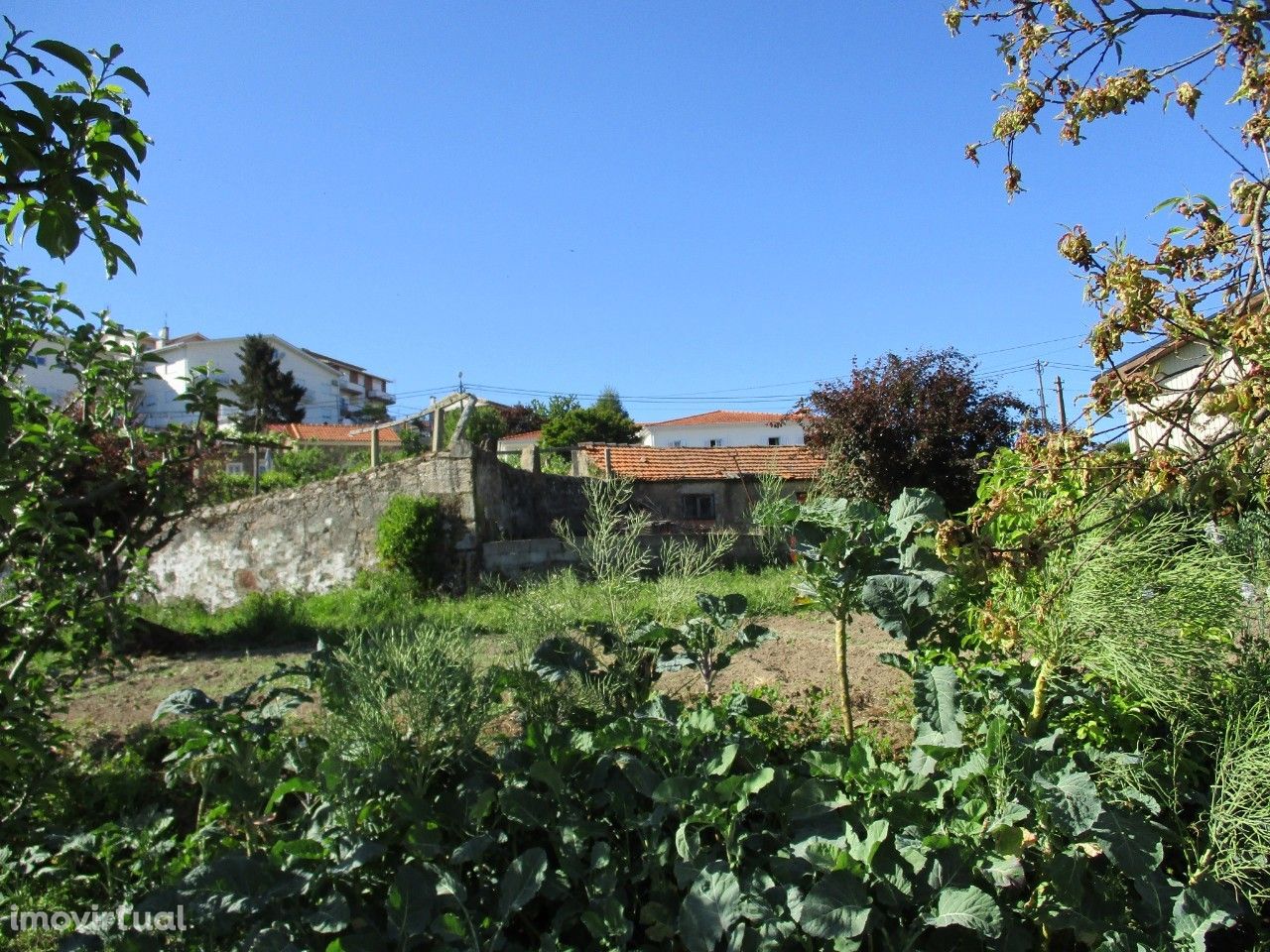 Terreno  Venda em São Pedro de Castelões,Vale de Cambra