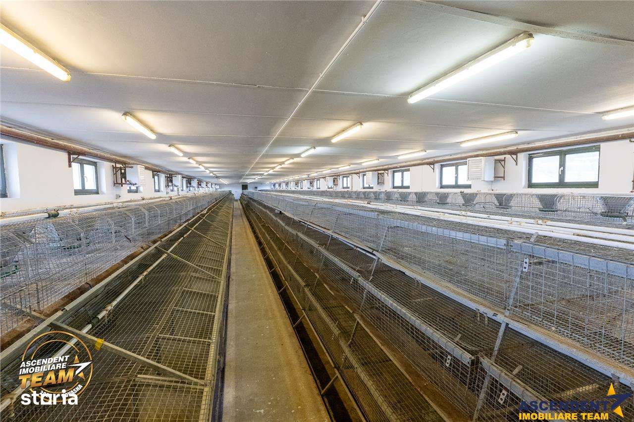 FILM! Ferma de iepuri,Malnas,Covasna: domeniu industrialcomercial,asse - Imagine principală: 2/20