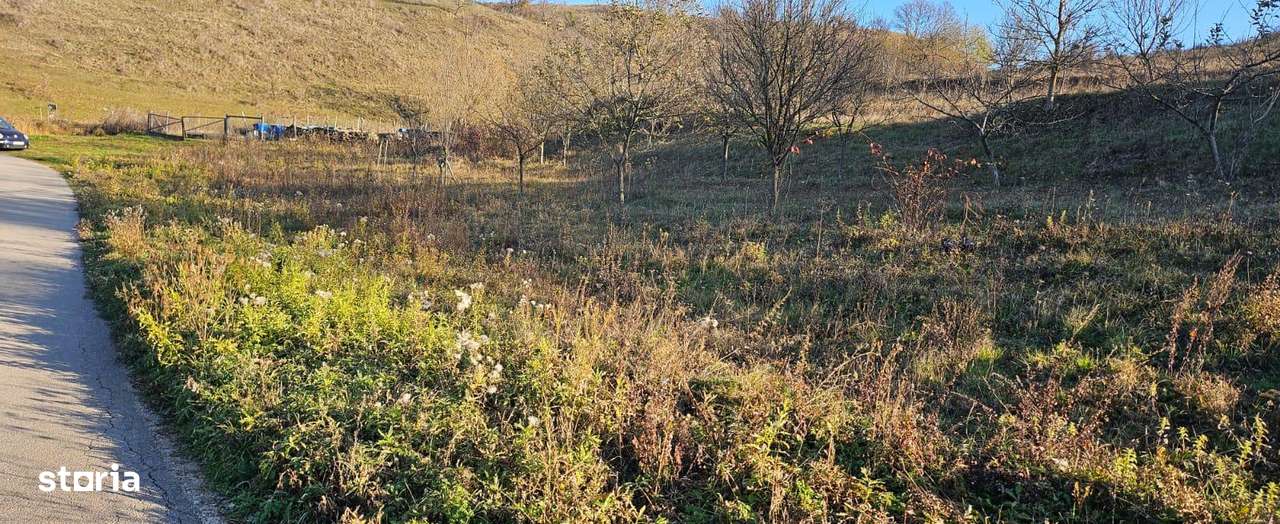 Vand teren extravilan in Inucu-1