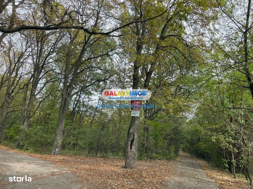 Vanzare teren 3300 mp Peris -deschidere padurea Scrovistea - Imagine principală: 2/5