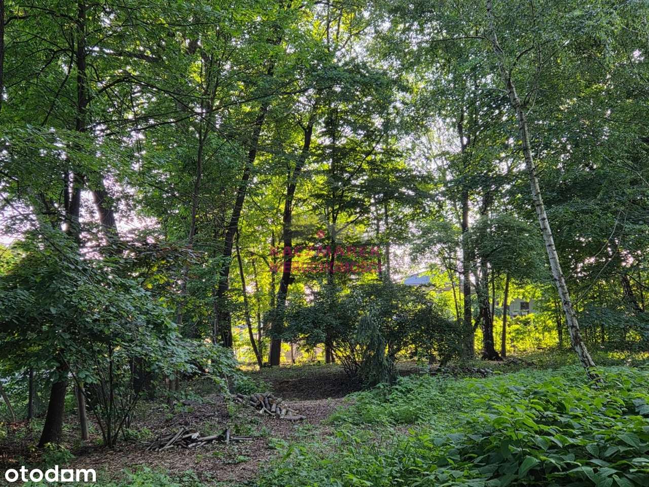 Wyjątkowa działka z dębami w sercu Goczałkowic!-2