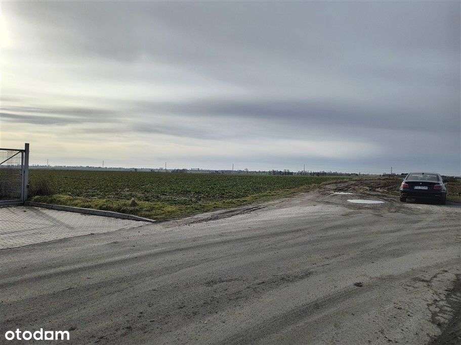 Działka/przemysł na sprzedaż - Pełny obrazek: 5/7