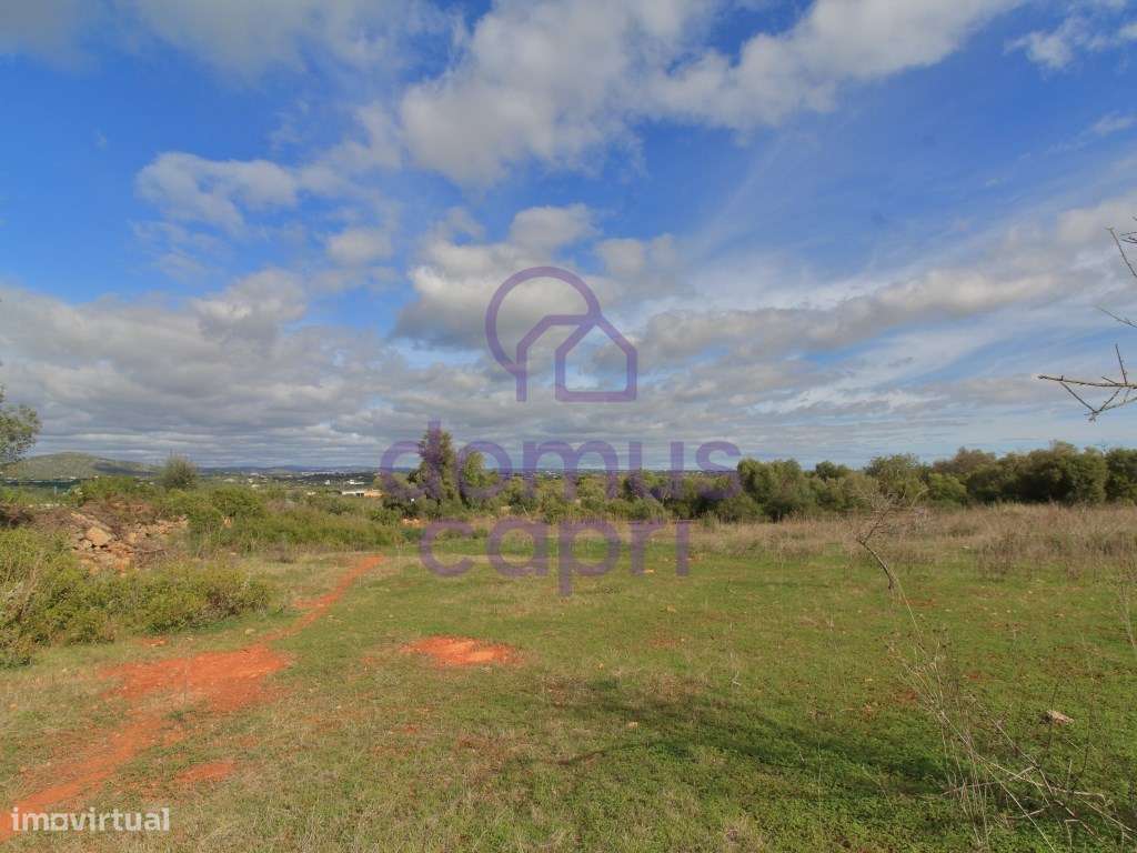 Terreno Rústico em Murtais - Moncarapacho - Olhão - Grande imagem: 4/9