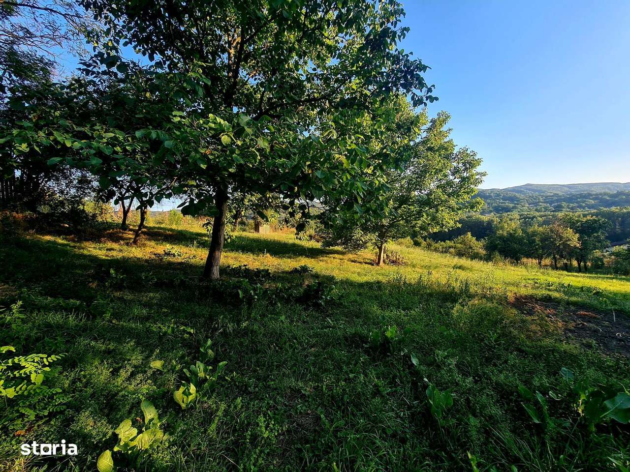 Teren Intravilan 3250 mp / Casa batraneasca / Pausesti Maglasi - Imagine principală: 4/7