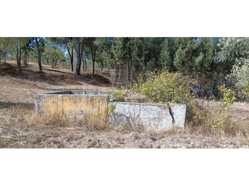 Monte com Moradia para Restauro - Grande imagem: 5/12