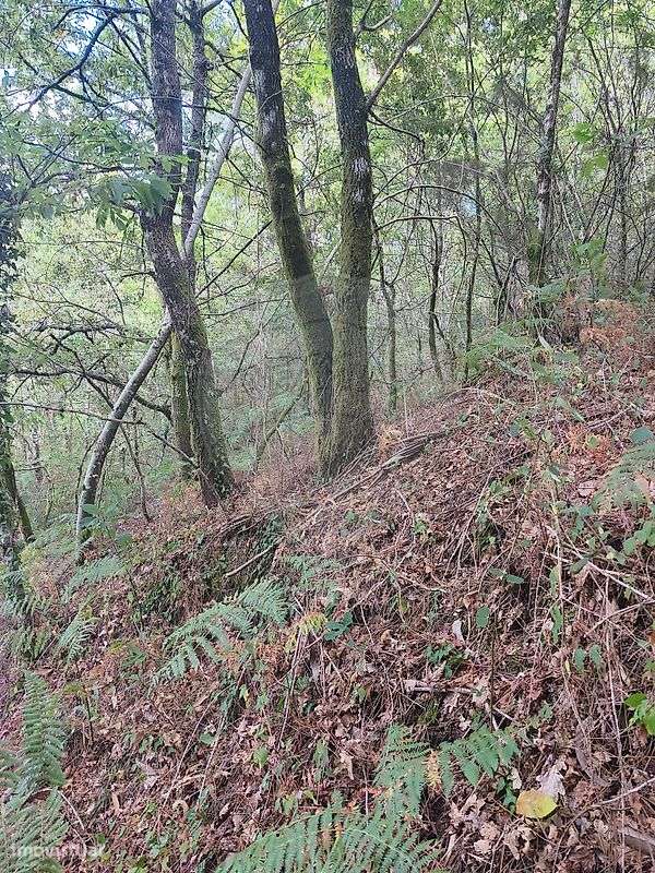 Terreno  para venda - Grande imagem: 5/5