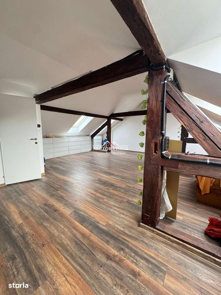 NECTORA IMOB-Spatiu comercial P+M, Ultracentral, Zona Piața Ferdinand-3