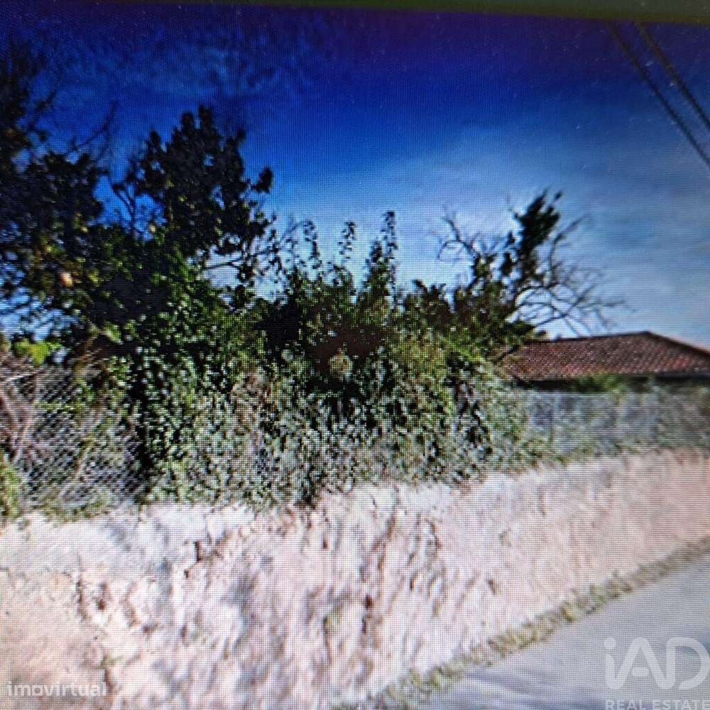 Terreno em Anta E Guetim de 2203075,00 m2 - Grande imagem: 2/7