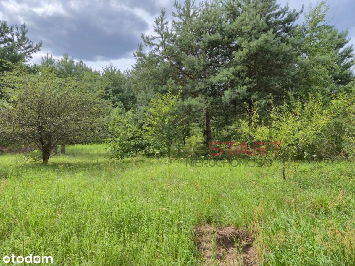 Działka z Pozwoleniem na budowę - Pełny obrazek: 4/20