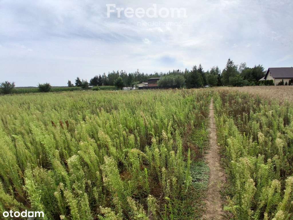 Działka budowlana w Handlowym Młynie - Pełny obrazek: 4/7