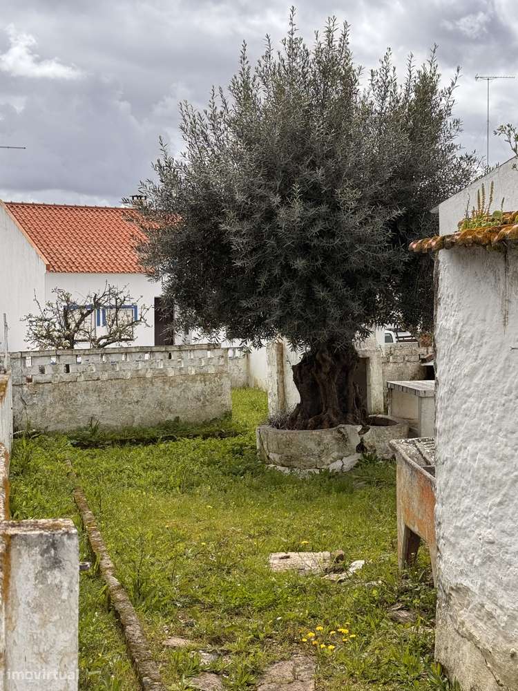 Moradia com projecto aprovado para renovação e ampliação - Grande imagem: 5/16