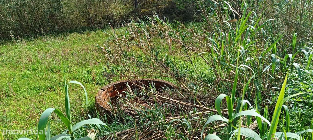 Terreno Rústico em Coimbra - Oportunidade Única por 12.990€ - Grande imagem: 3/8