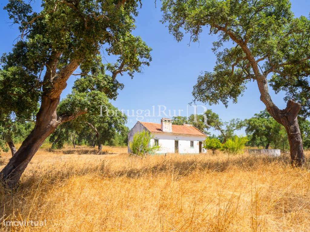 Quinta de 20ha com projeto para Turismo Rural a 1h de Lisboa-3